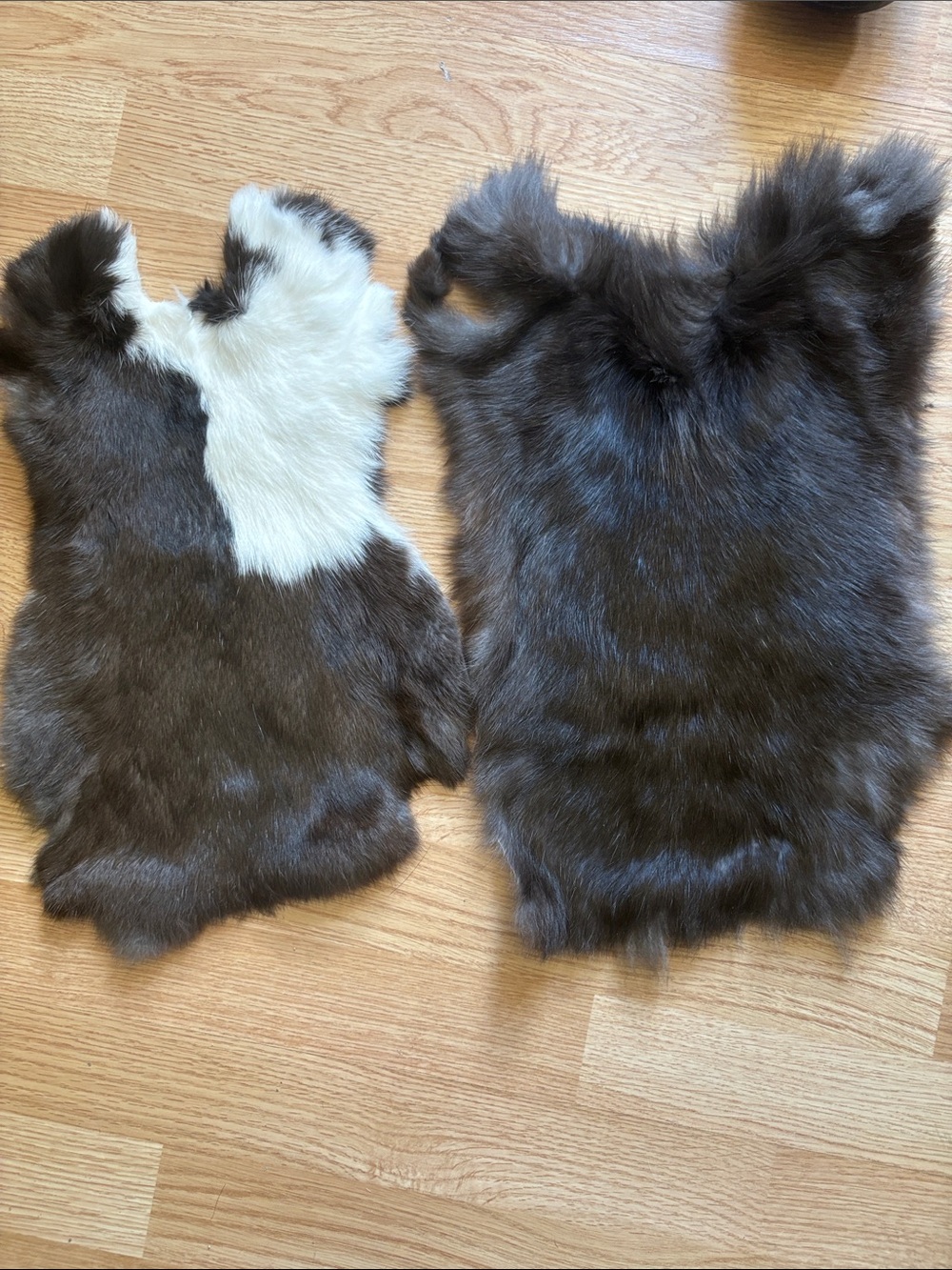 B0188 pair rabbit pelts